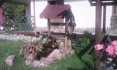 Hostal Cabana Delfinul