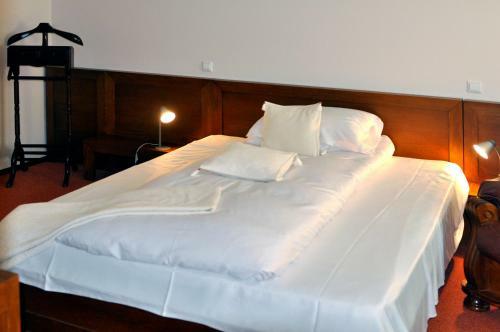 Hotel Complex Turistic Bucovina