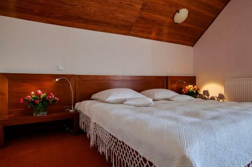 Hotel Complex Turistic Bucovina