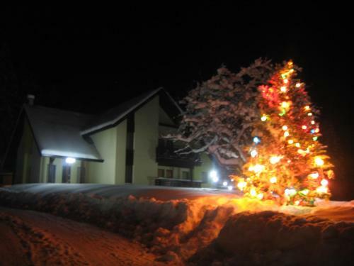 Hotel Complex Turistic Bucovina