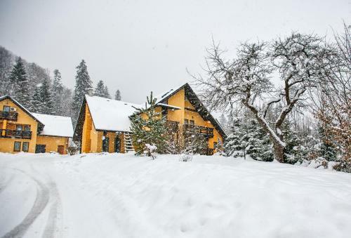 Hotel Complex Turistic Bucovina