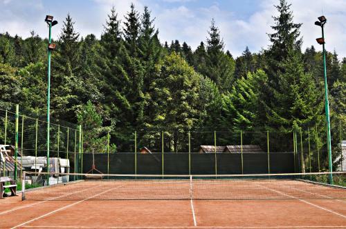 Hotel Complex Turistic Bucovina