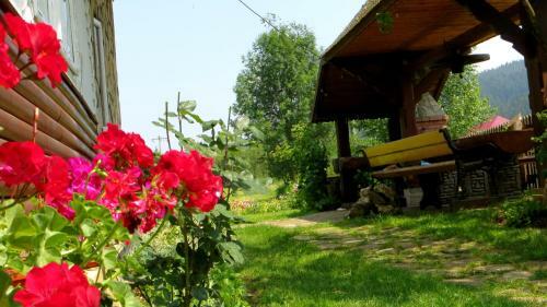 Hostal Pensiunea Poiana De Vis