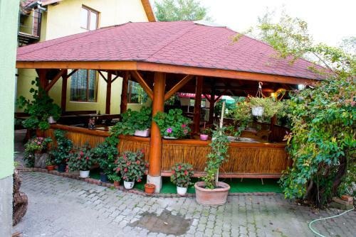 Hostal Pensiunea Dragonul