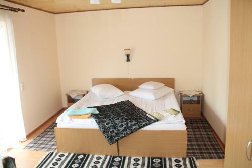 Hostal Pensiunea Alexandra