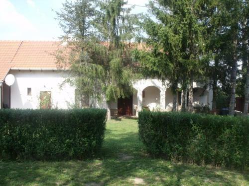 Hostal Bal�zs Vend�gh�z