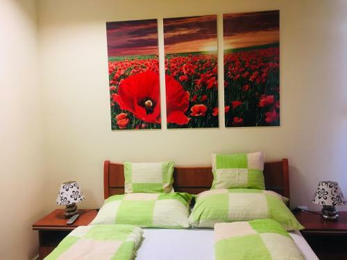 Bed & Breakfast �jjelibagoly Panzi�