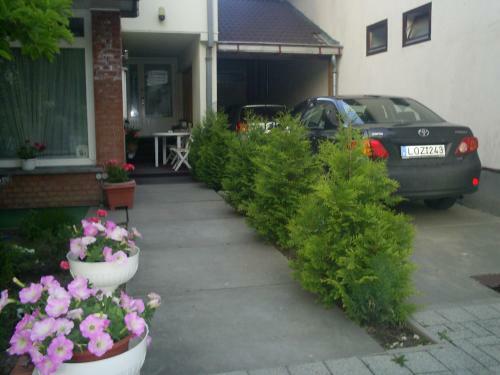 Bed & Breakfast �jjelibagoly Panzi�