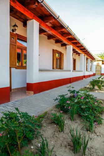 Hostal Katica Vend�gh�z