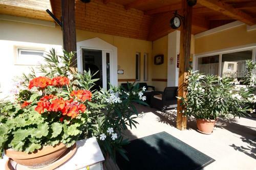 Hostal Parti Panzi�