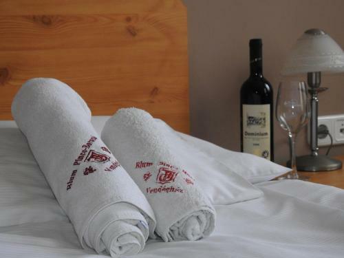 Hostal Blum Pince - Boroz� Vend�gh�z