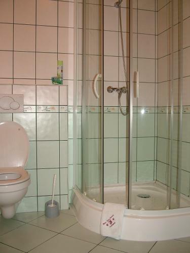 Hostal Blum Pince - Boroz� Vend�gh�z