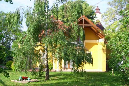 Anonim Vend�gh�z