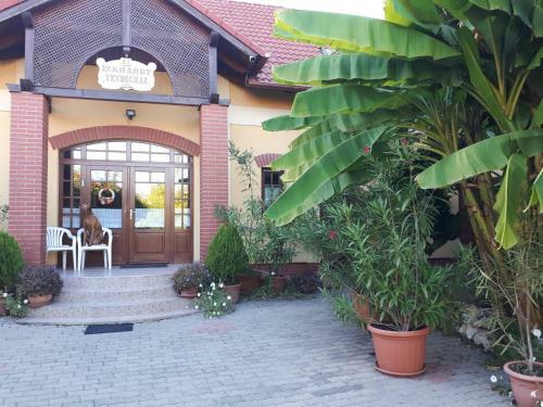 Hostal Eckhardt Vend�gh�z