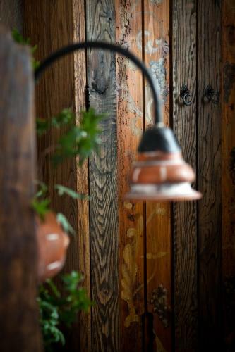 Bed & Breakfast Halasi Pince Panzi�