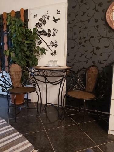 Hostal Feh�r Hint�