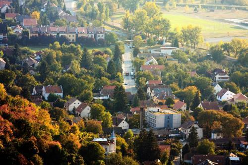 Liliom Mag�nsz�ll�s