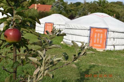 Bakonyi Camping