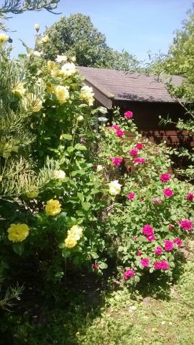 Corso Apartman
