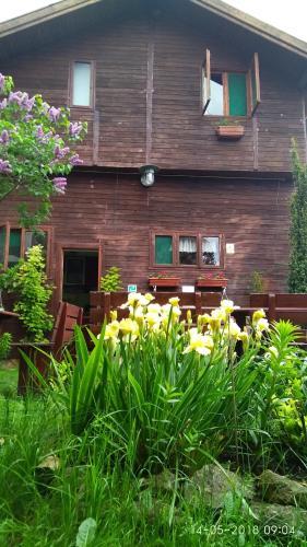Elga�s Punk Rock Hostel