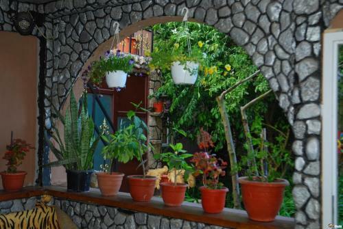 Hostal Casa Yachi