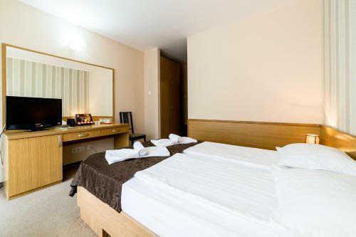 Hostal Hotel Muresul Health Spa
