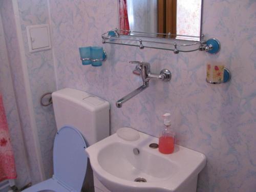 Hostal Pensiunea Robika Sovata