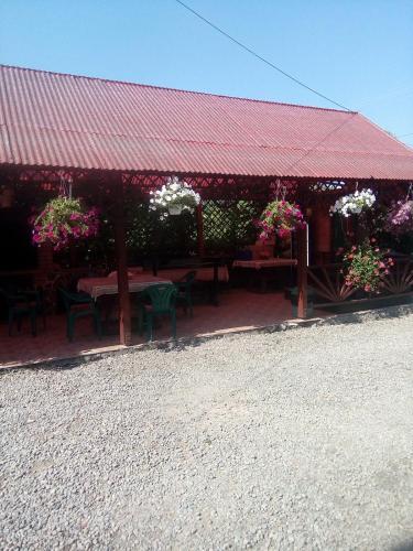 Hostal Pensiunea Robika Sovata