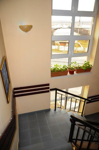 Hostal Pensiunea Bachus