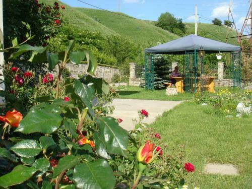 Hostal Pensiunea Ambiance