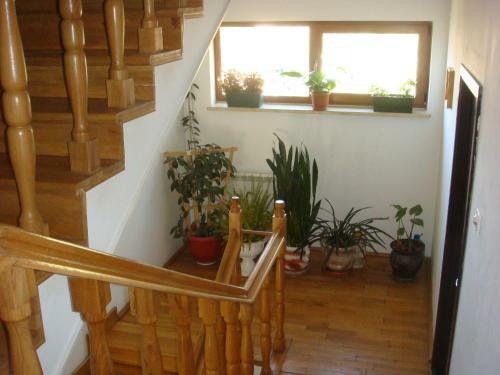 Hostal Pensiunea Ambiance