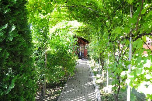 Hostal Pensiunea Contesa