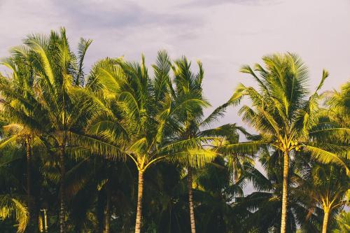Lodge Cabana Surf And Stay