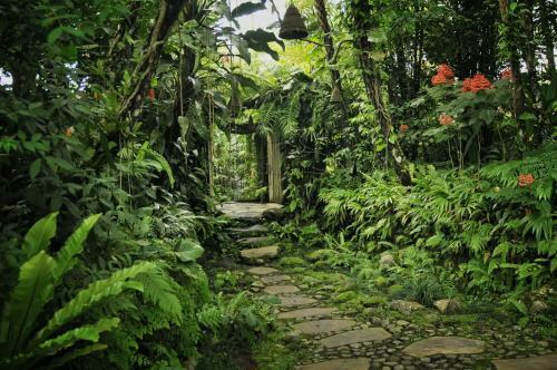 Heaven In Bali
