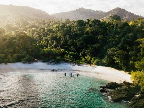 Mojosurf Camp Red Island