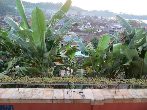 Albergue Lemon House