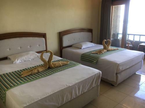 Posada Padangbai Beach Inn