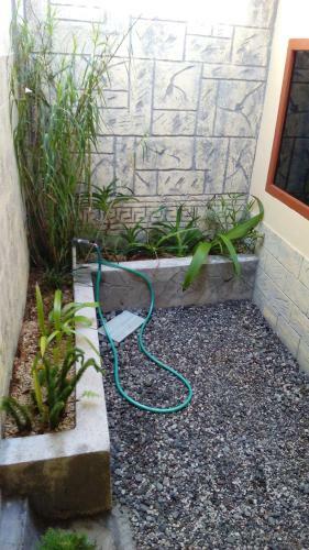 Hostal Radiya Guesthouse
