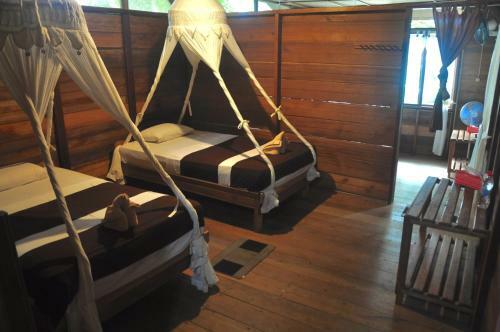 Raja Ampat Dive Resort