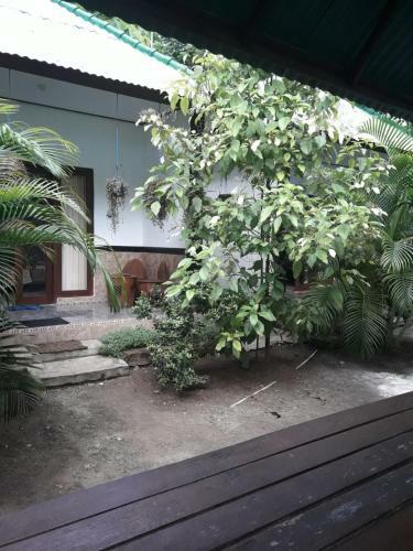 Hostal Jasmine Inn