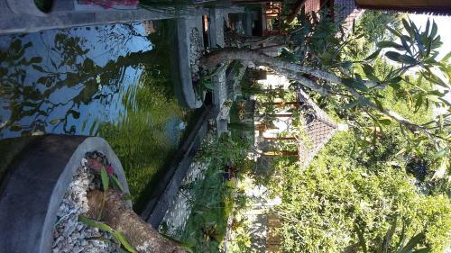 Villa Green House
