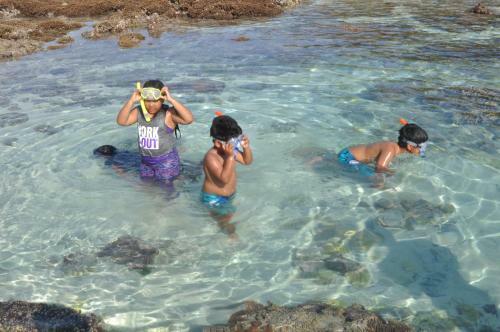 Hostal Agung Pring Homestay