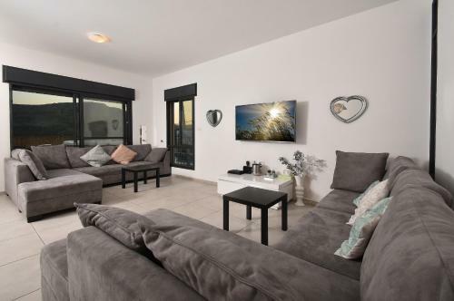 Or Kinneret Villa