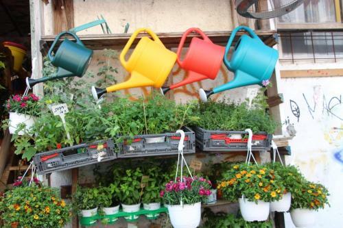 Beautiful Garden Apartments
