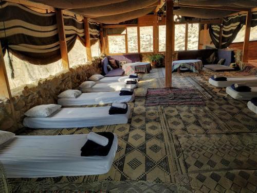 Desert Camping Israel