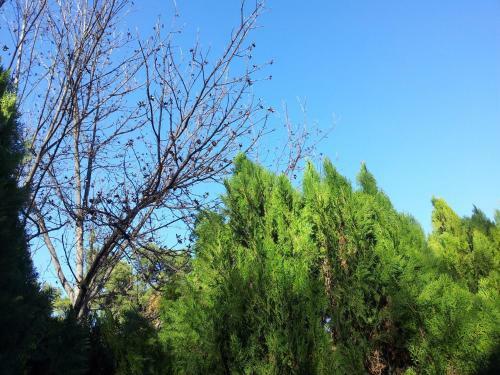 At Our Yard - Vacation Apartments In Upper Galilee