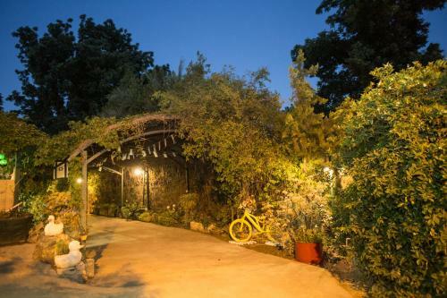 Leyad Hashmura Lodging