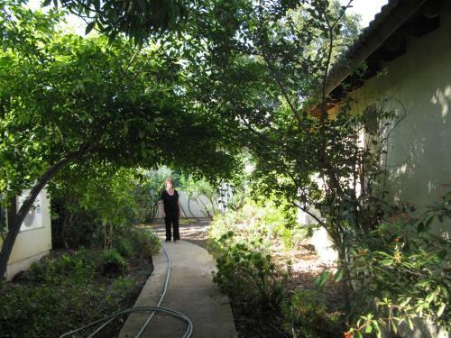 Hostal Amira And George's Guest House