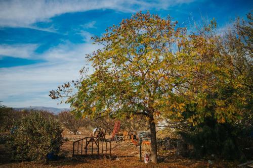Apartamento Vered's Country House