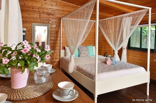 Lodge Zimergia